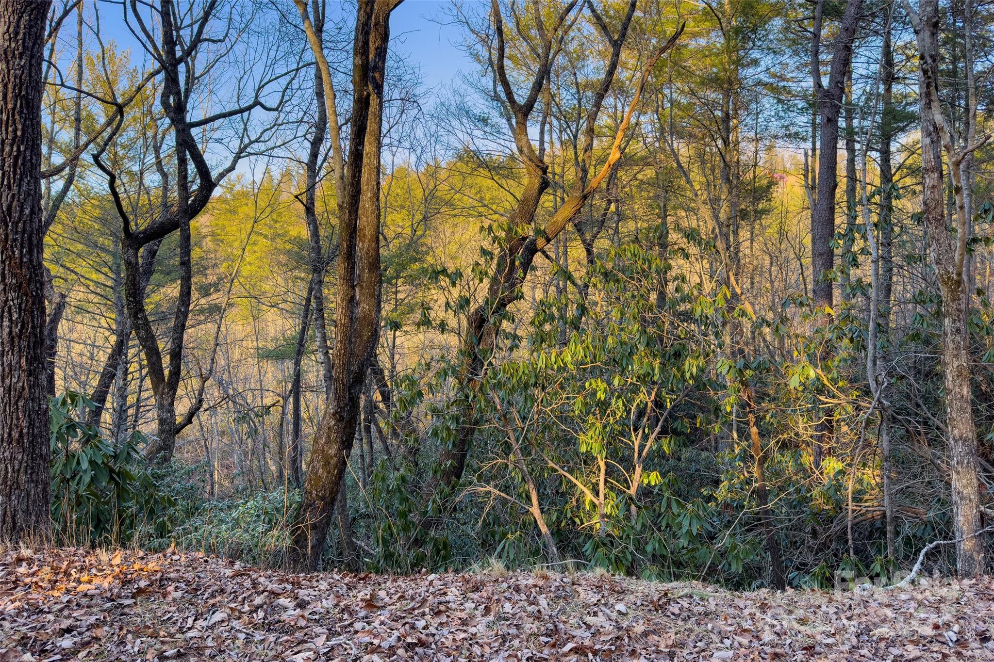 Lot #84 Little Fox Run Marion NC 28752
