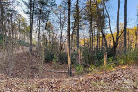 Lot #84 Little Fox Run Marion NC 28752