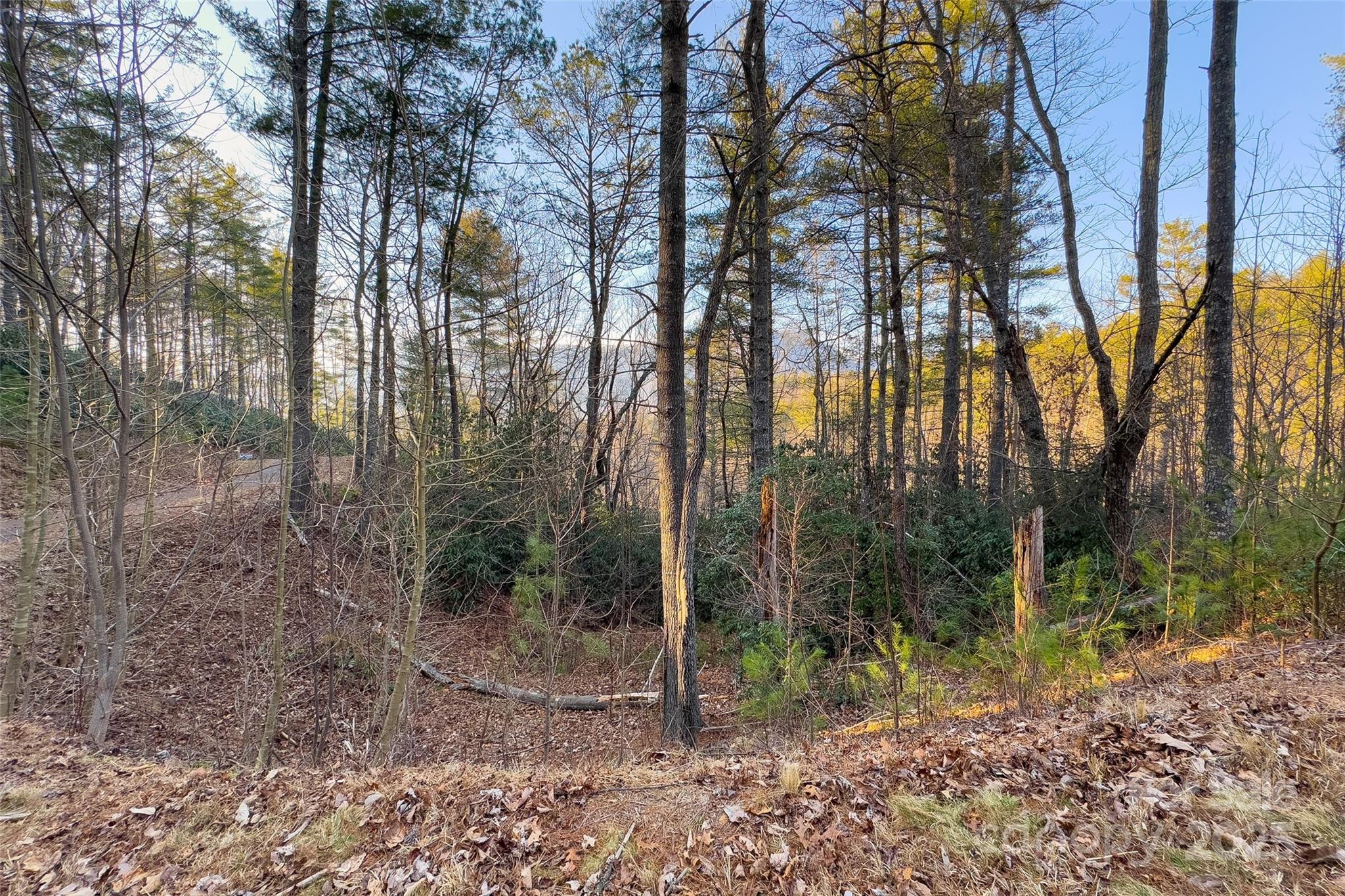 Lot #84 Little Fox Run Marion NC 28752