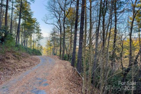 Lot #84 Little Fox Run Marion NC 28752