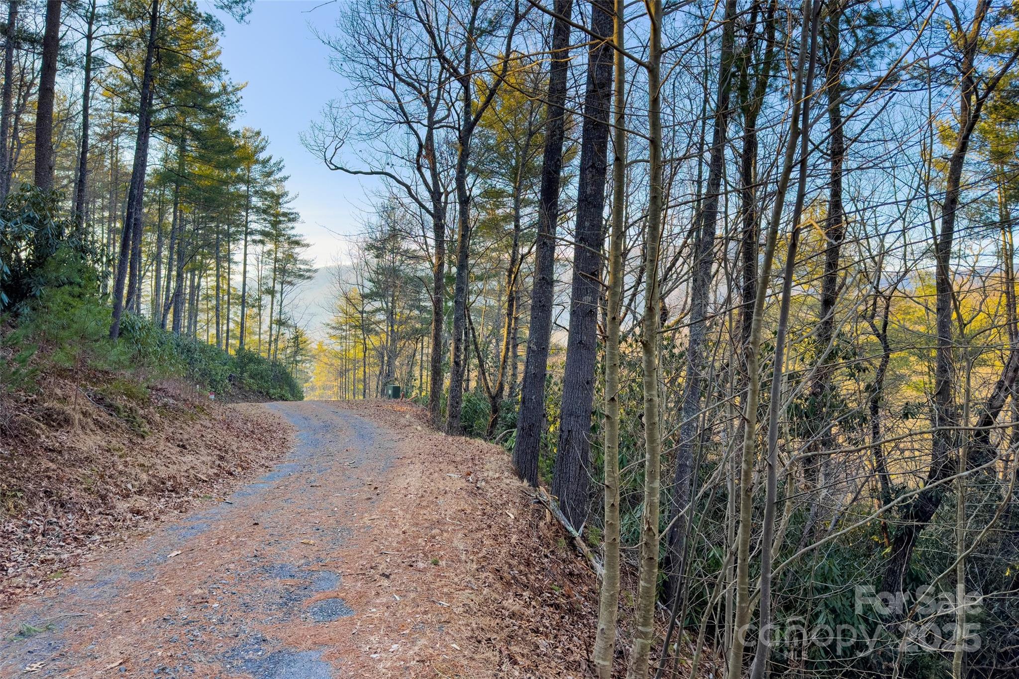 Lot #84 Little Fox Run Marion NC 28752