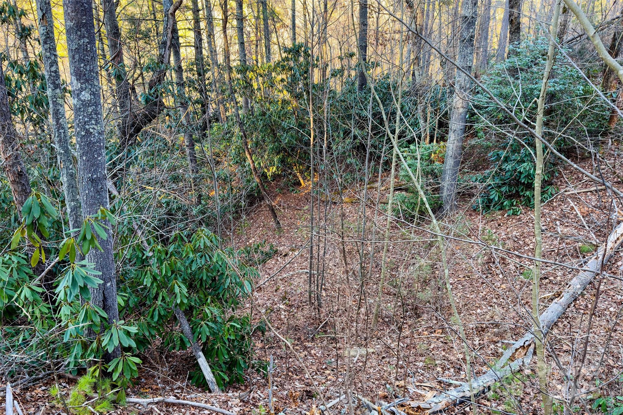 Lot #84 Little Fox Run Marion NC 28752