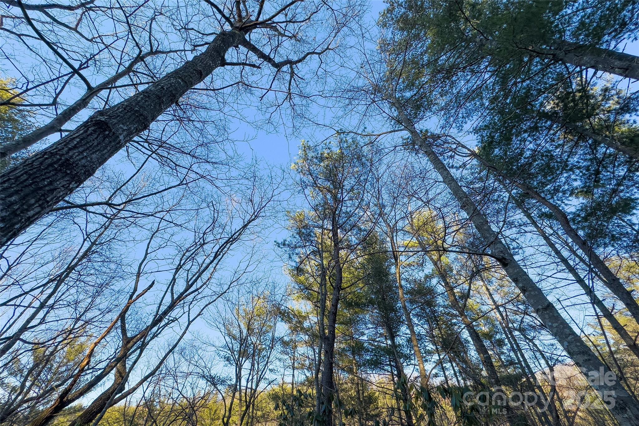 Lot #84 Little Fox Run Marion NC 28752