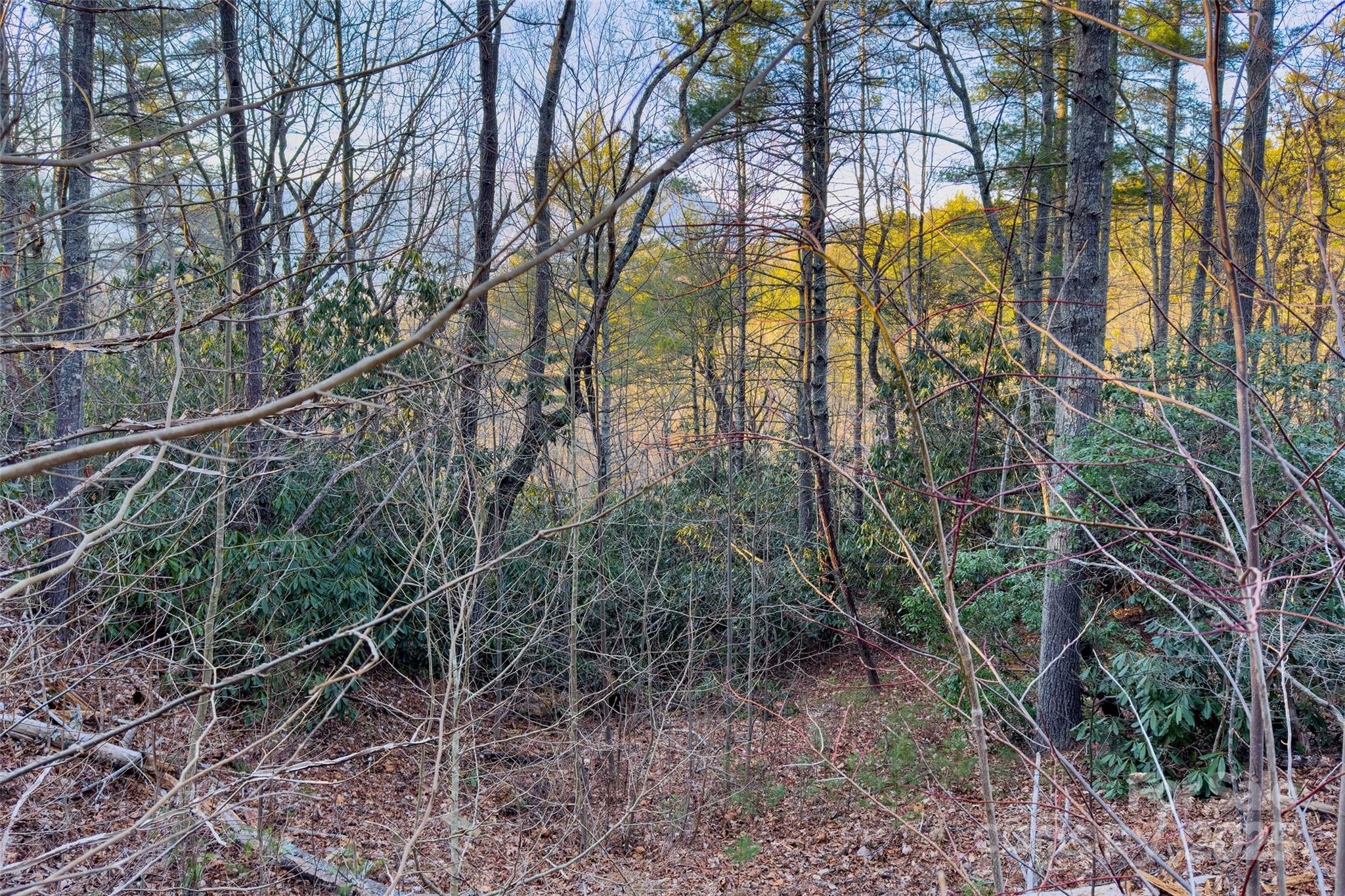 Lot #84 Little Fox Run Marion NC 28752