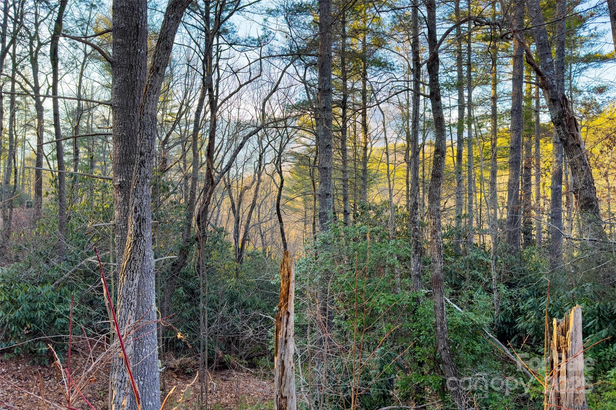 Lot #84 Little Fox Run Marion NC 28752