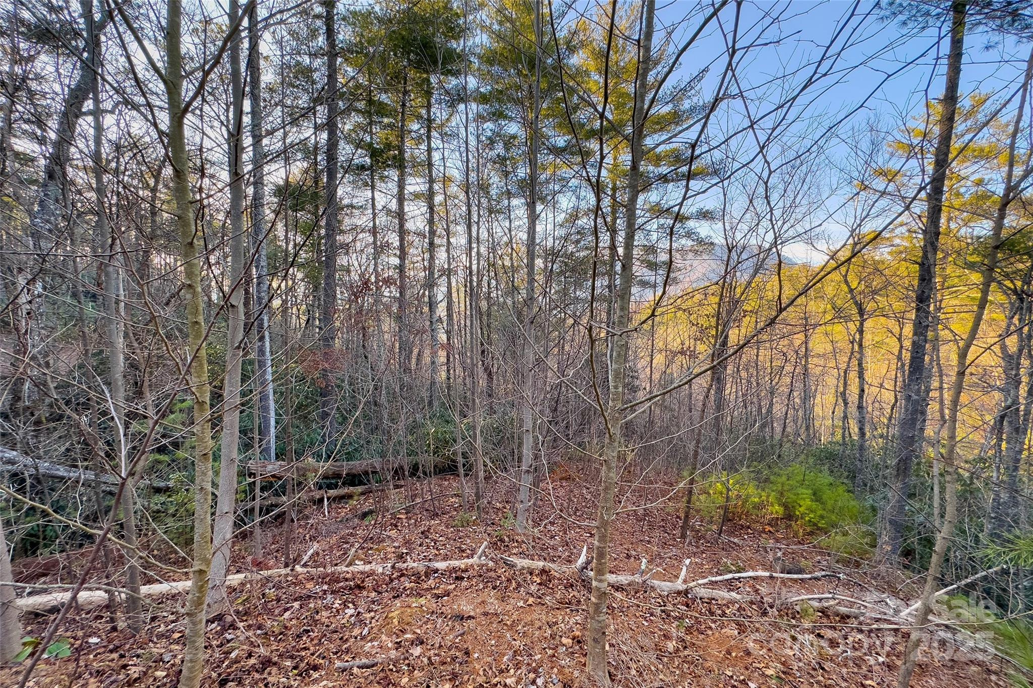 Lot #84 Little Fox Run Marion NC 28752
