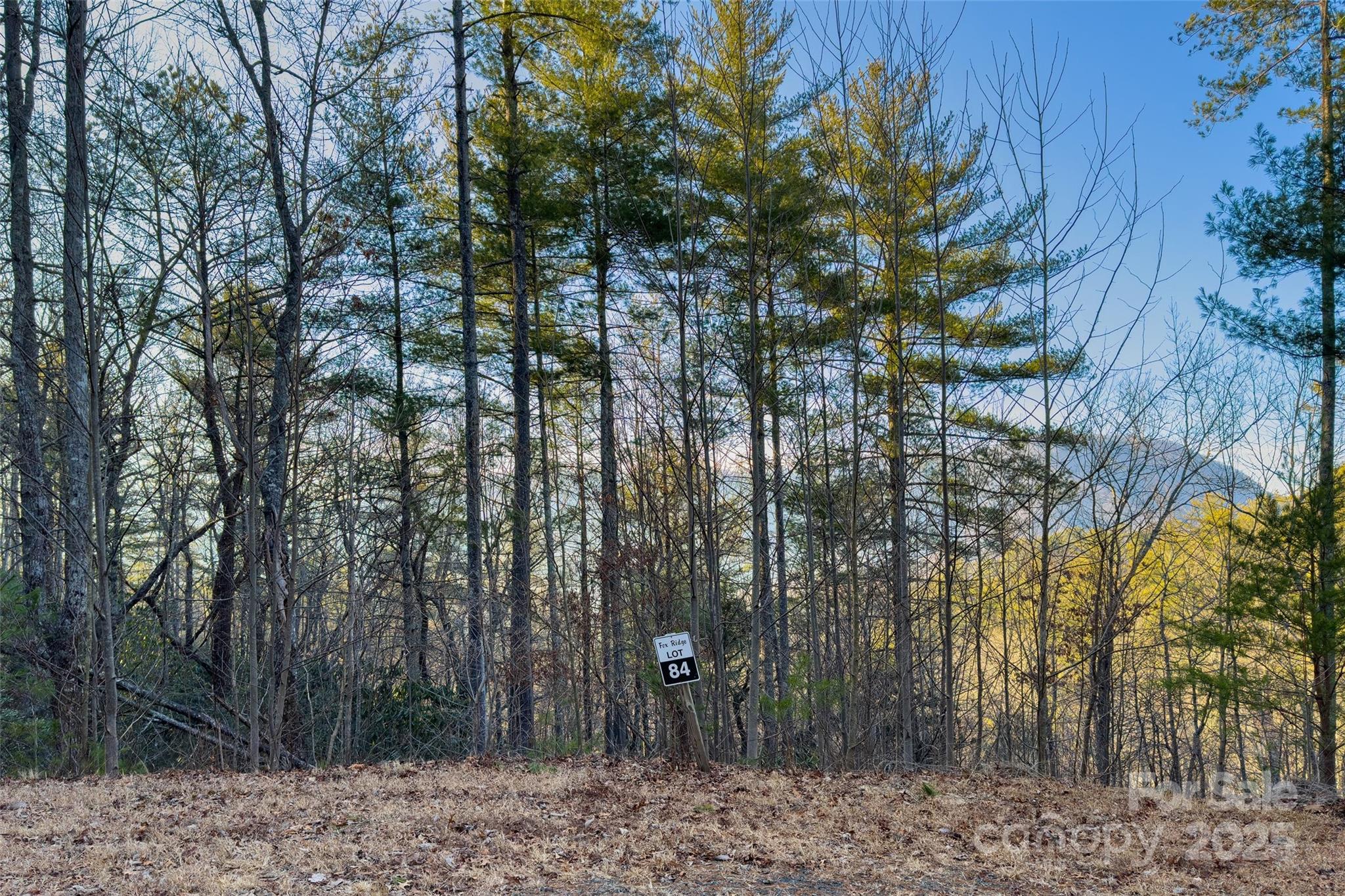 Lot #84 Little Fox Run Marion NC 28752