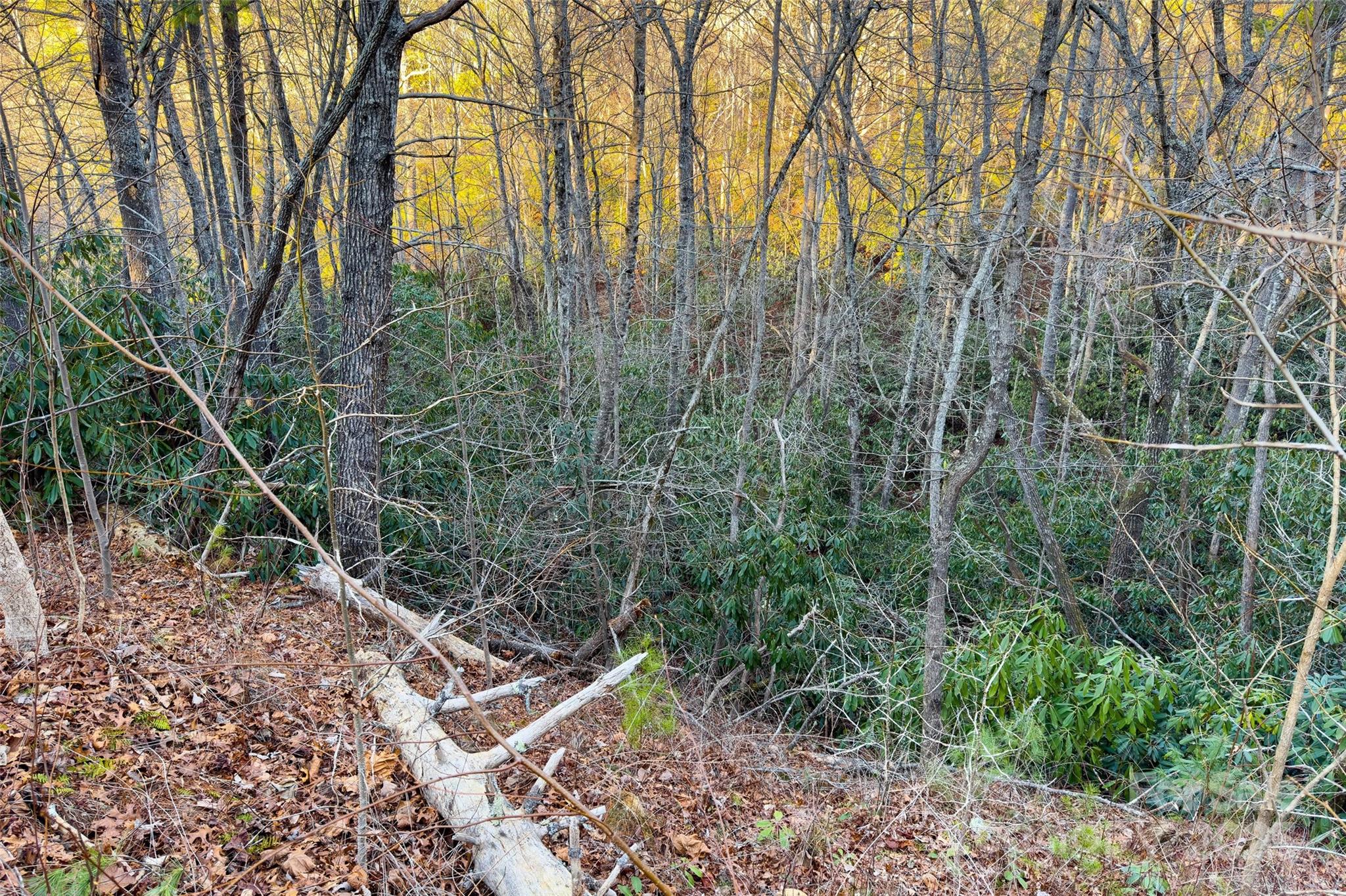 Lot #84 Little Fox Run Marion NC 28752