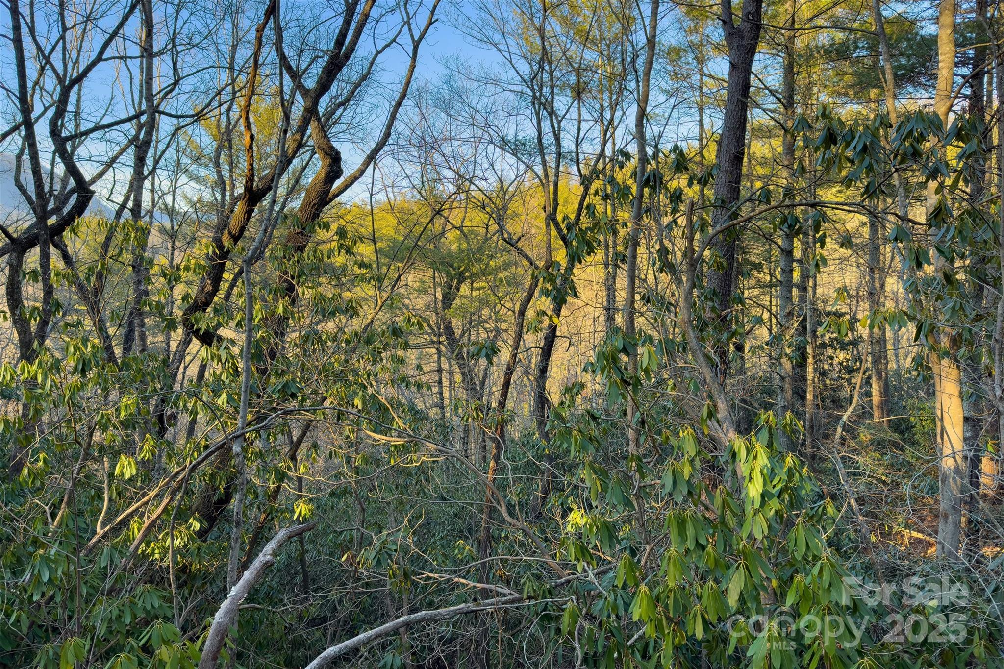 Lot #84 Little Fox Run Marion NC 28752
