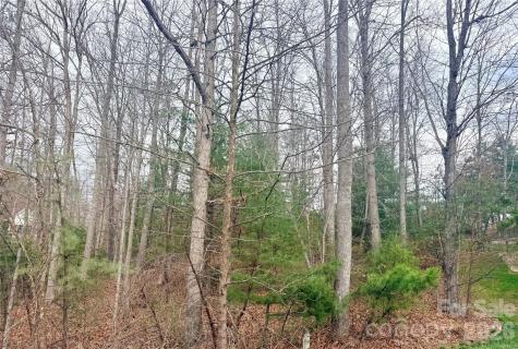 85 Baton Lane Hendersonville NC 28792