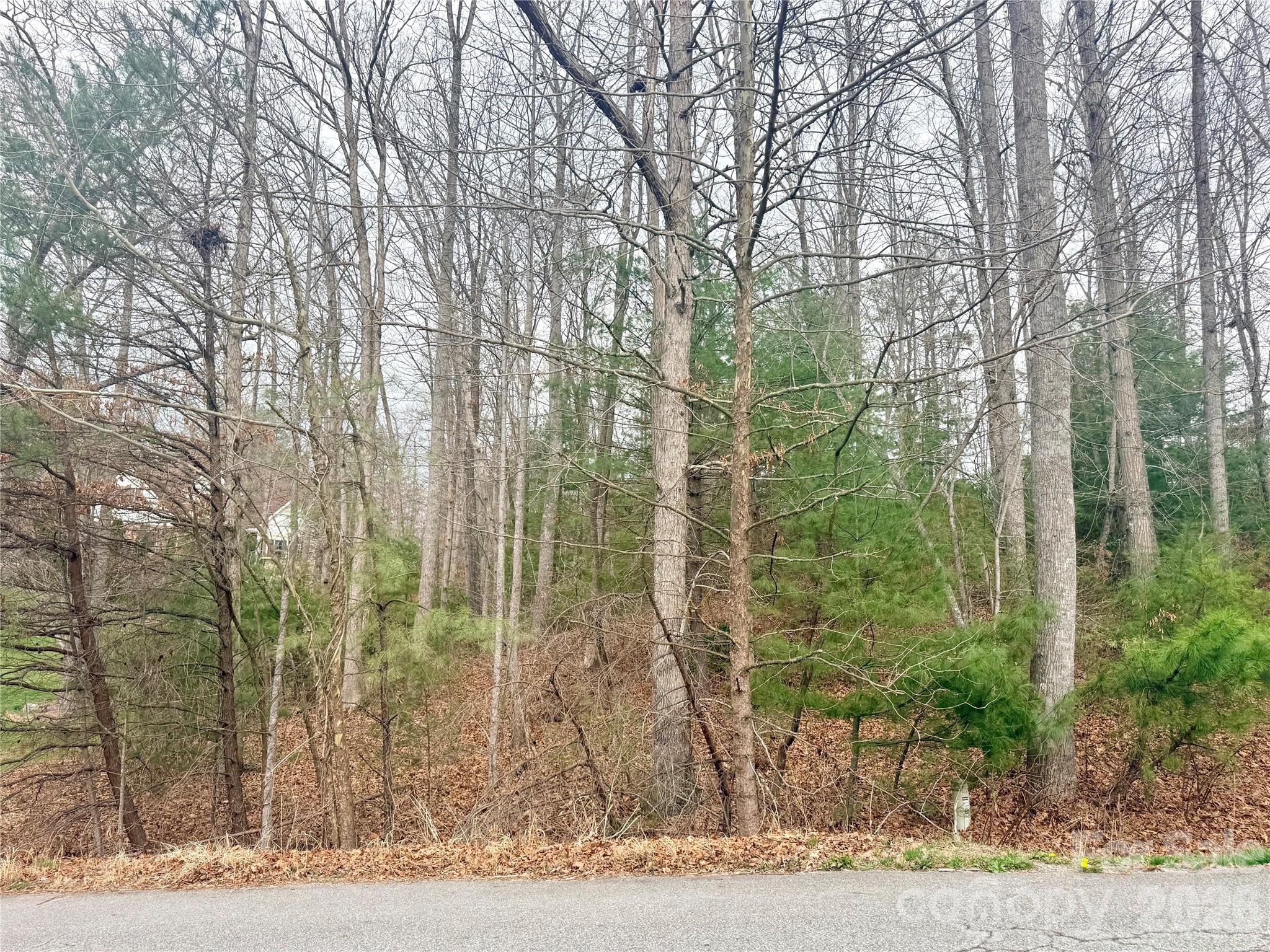 85 Baton Lane Hendersonville NC 28792