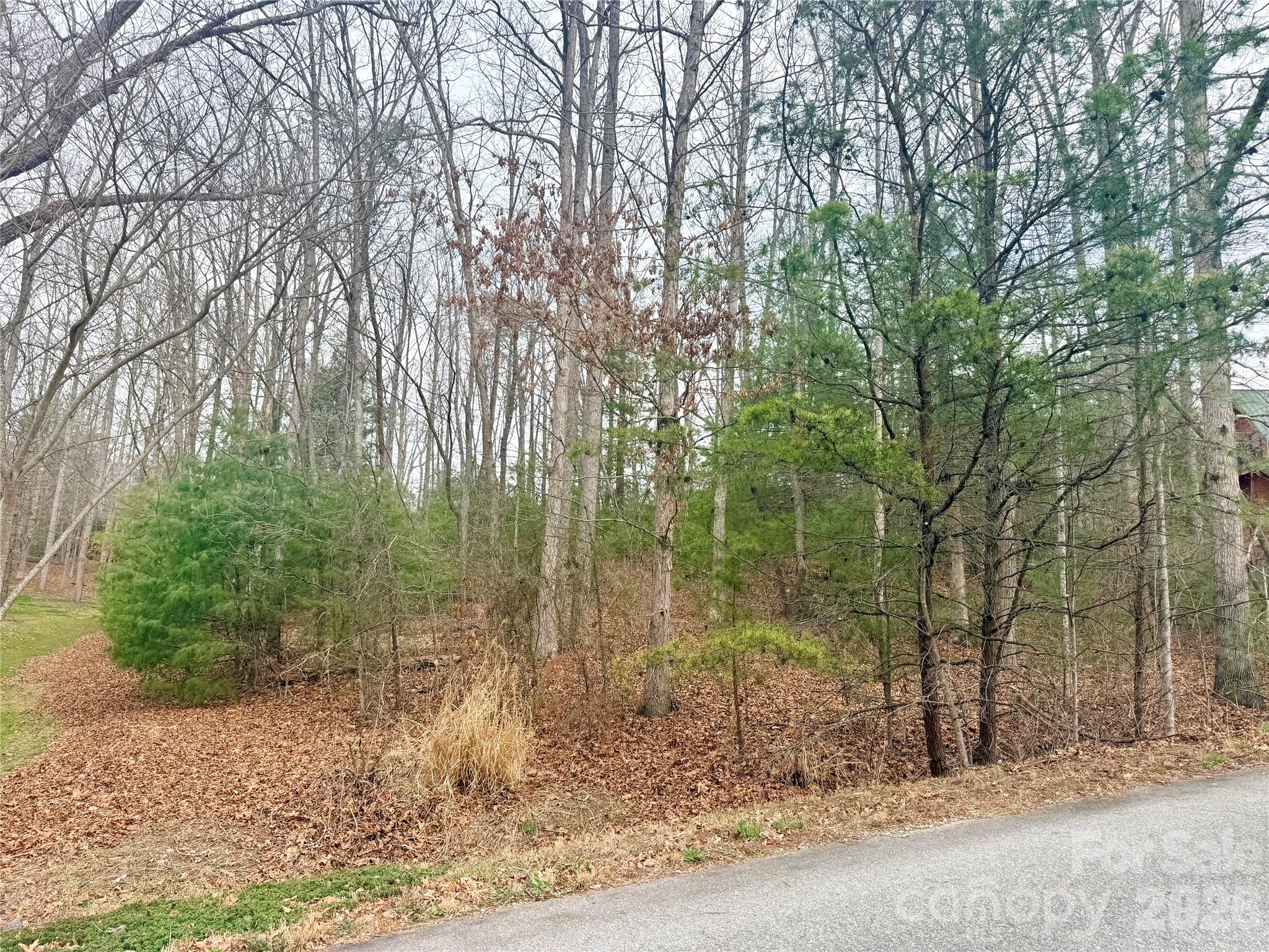 85 Baton Lane Hendersonville NC 28792