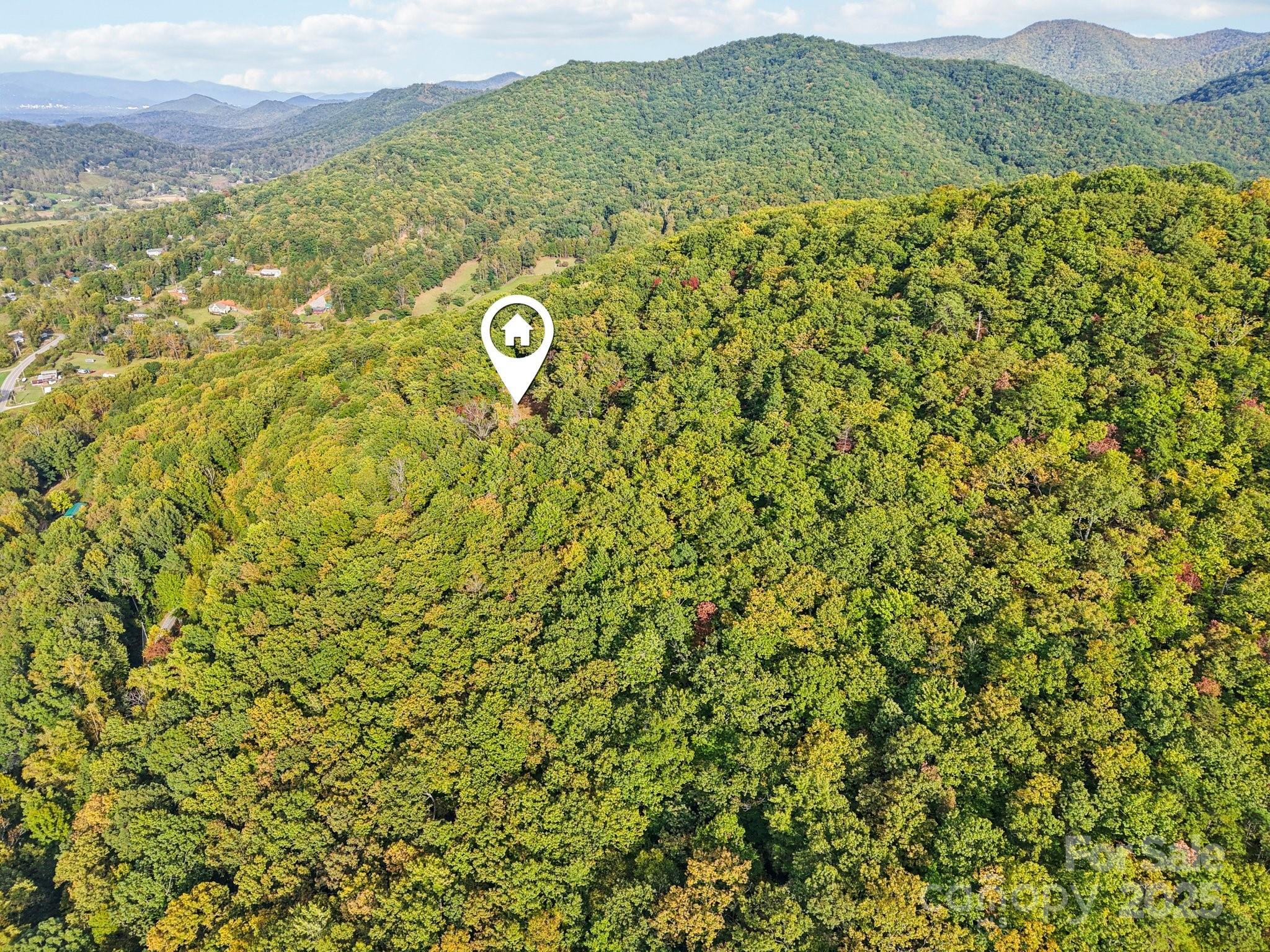 99999 Davis Creek Road Candler NC 28715