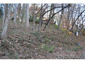 41 Pickwick Road Asheville NC 28803