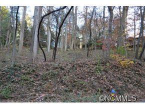 41 Pickwick Road Asheville NC 28803