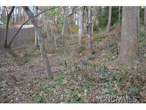 41 Pickwick Road Asheville NC 28803