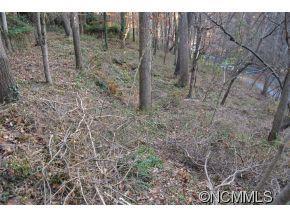 41 Pickwick Road Asheville NC 28803