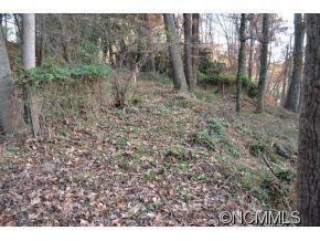41 Pickwick Road Asheville NC 28803