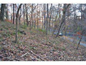 41 Pickwick Road Asheville NC 28803