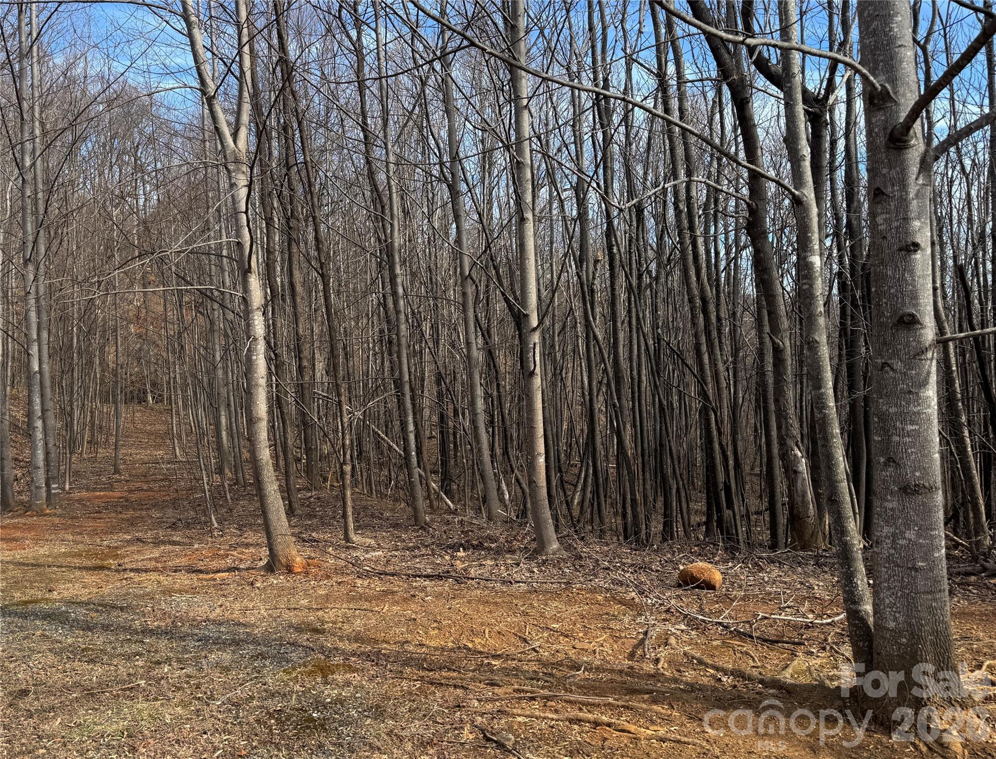 99999 Chesterfield Drive Mill Spring NC 28756