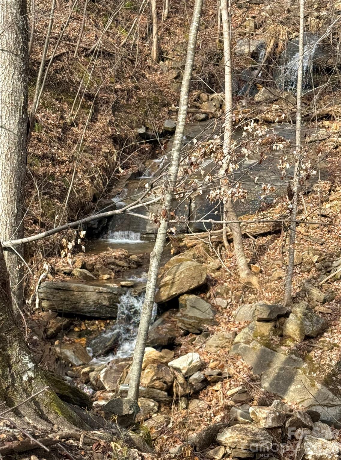 99999 Chesterfield Drive Mill Spring NC 28756