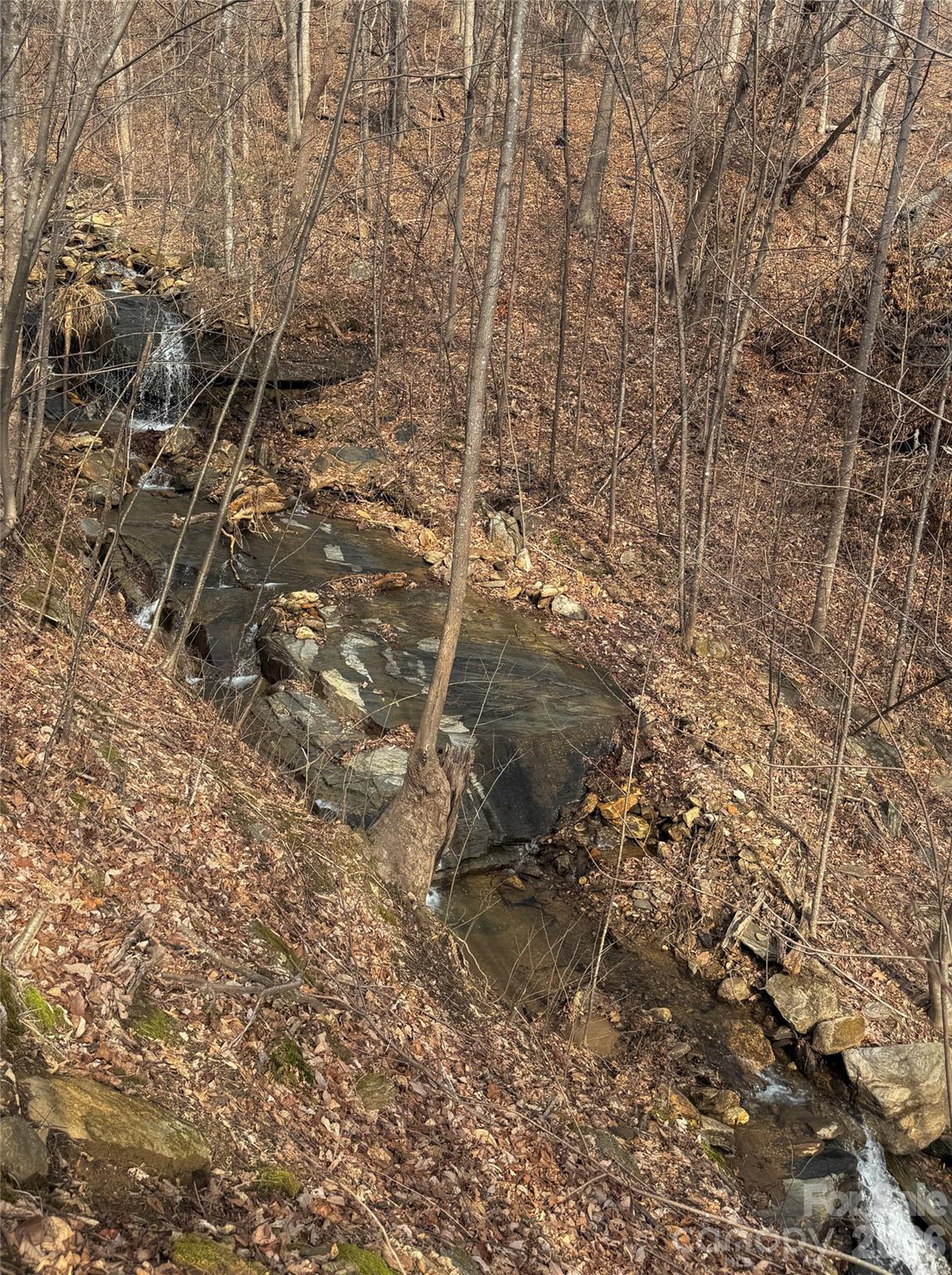 99999 Chesterfield Drive Mill Spring NC 28756