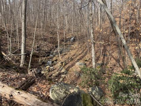 99999 Chesterfield Drive Mill Spring NC 28756