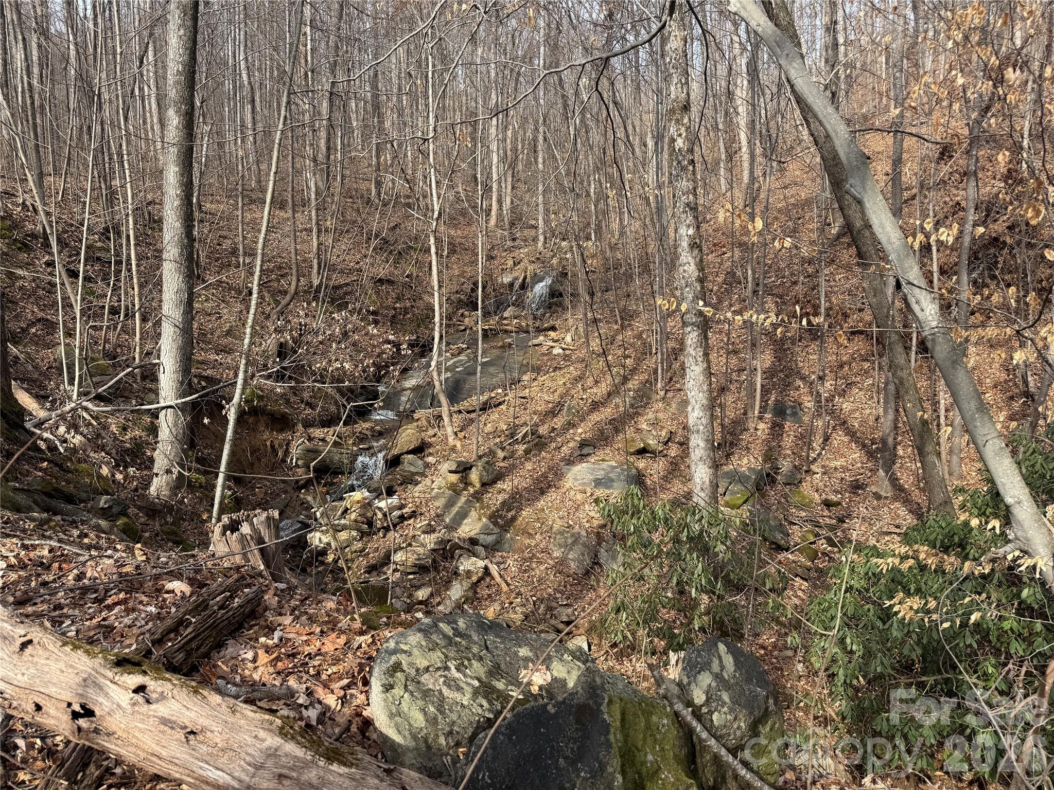99999 Chesterfield Drive Mill Spring NC 28756