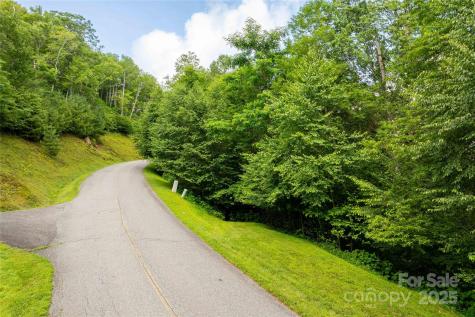 Tbd Lot 123 Firethorn Trail Blowing Rock NC 28605
