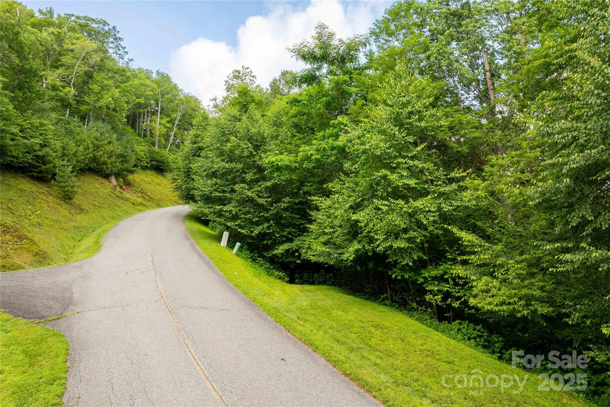 Tbd Lot 123 Firethorn Trail Blowing Rock NC 28605