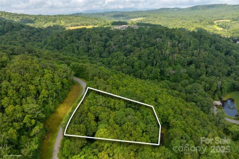 Tbd Lot 123 Firethorn Trail Blowing Rock NC 28605