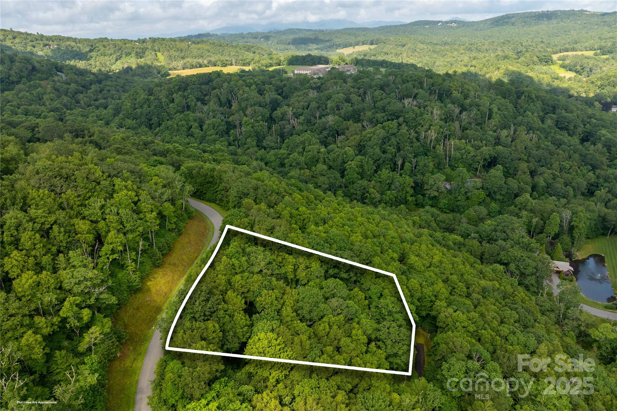Tbd Lot 123 Firethorn Trail Blowing Rock NC 28605
