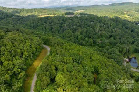 Tbd Lot 123 Firethorn Trail Blowing Rock NC 28605