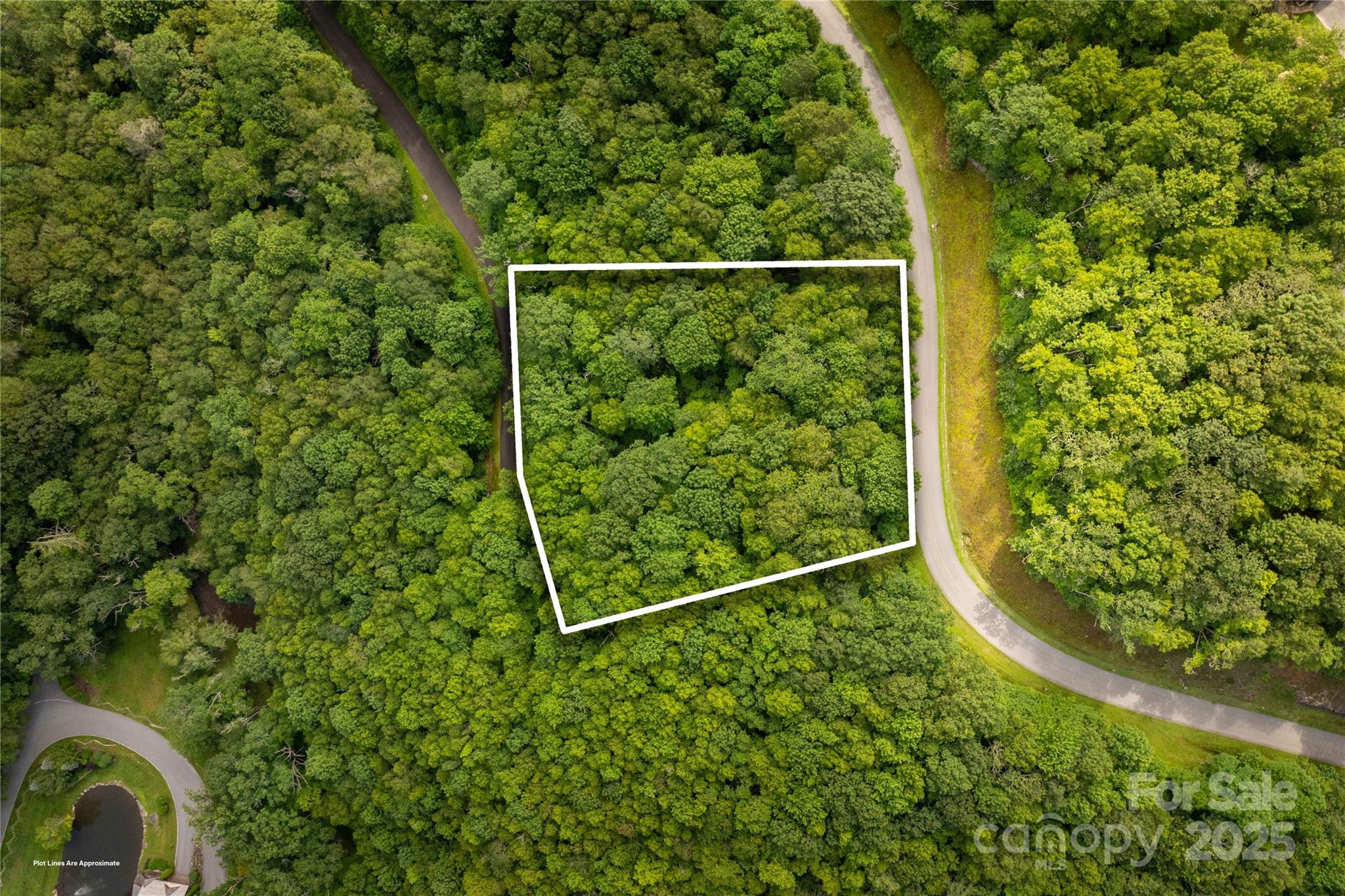 Tbd Lot 123 Firethorn Trail Blowing Rock NC 28605