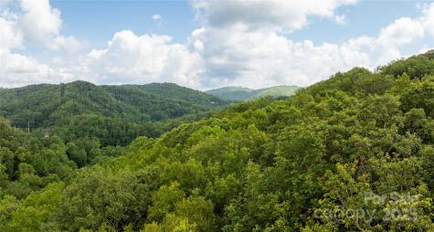 Tbd Lot 123 Firethorn Trail Blowing Rock NC 28605