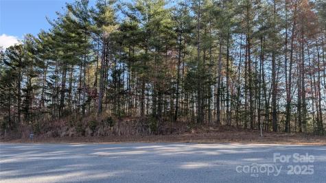 1111 Table View Drive Morganton NC 28655