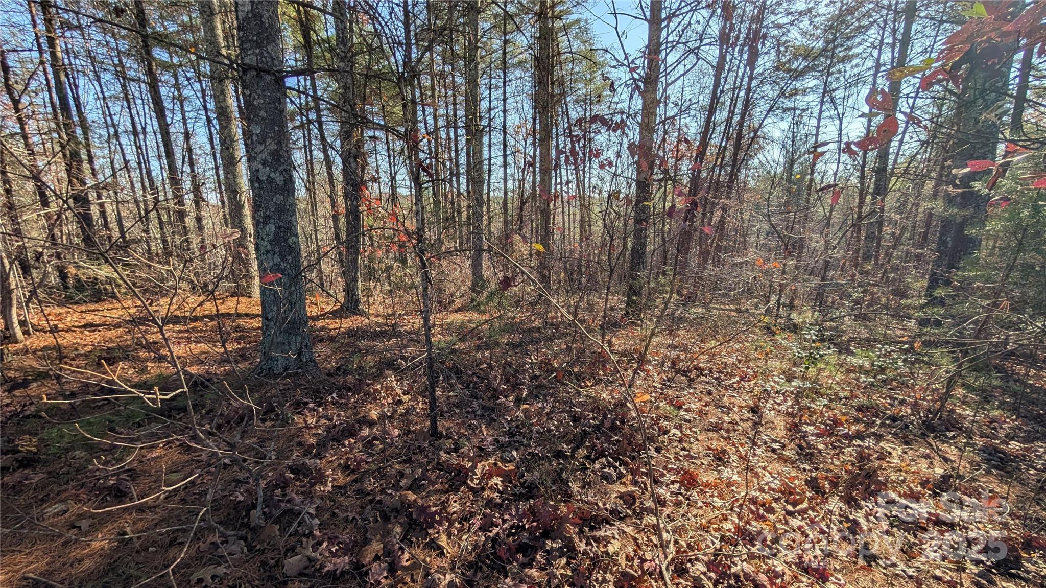 1111 Table View Drive Morganton NC 28655