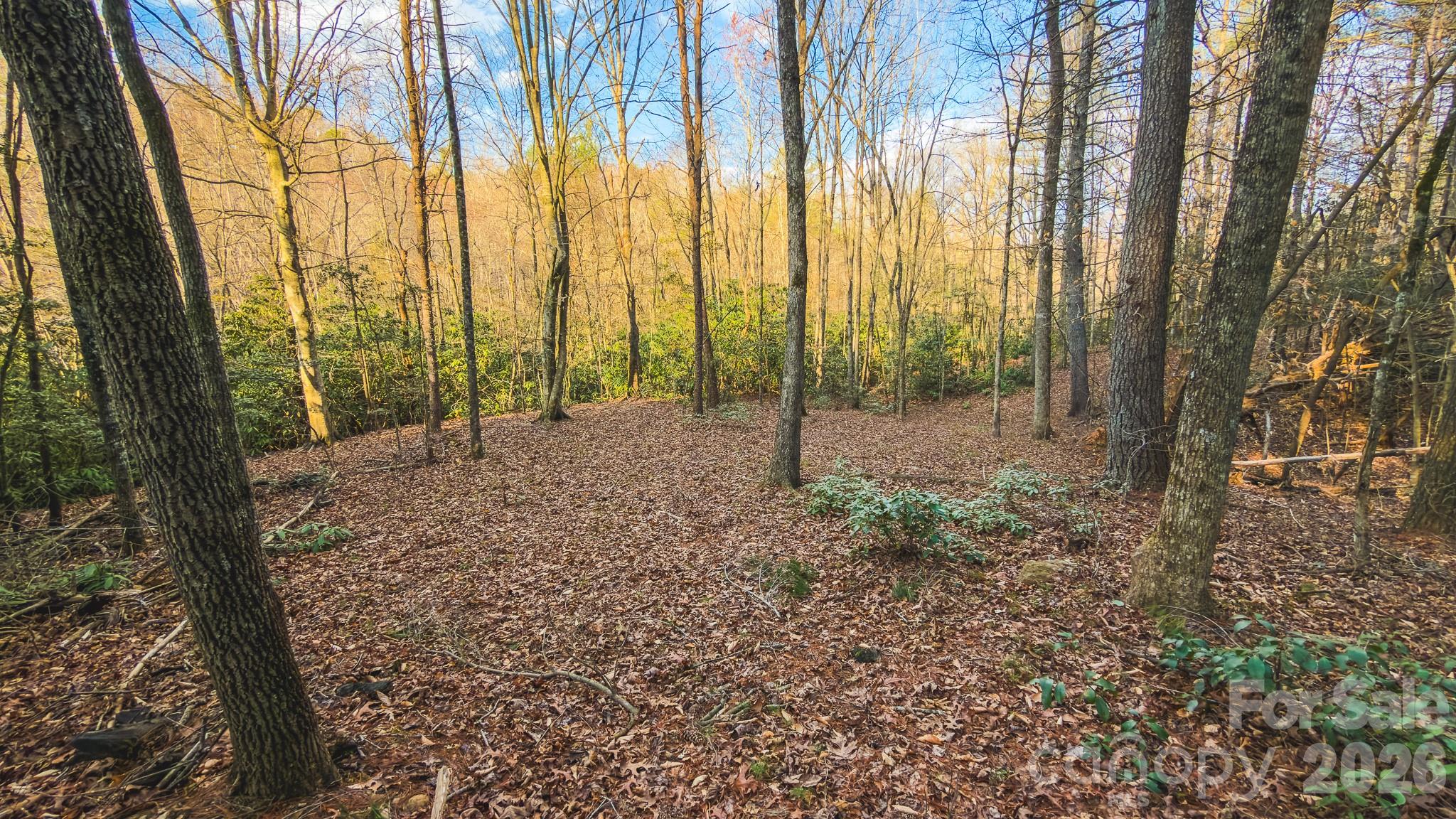 Tbd All Healing Springs Road Taylorsville NC 28681