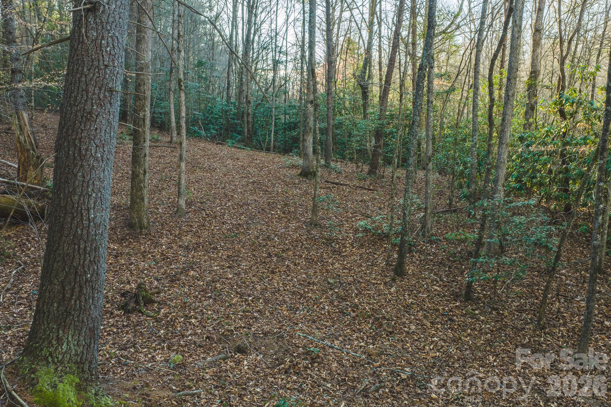 Tbd All Healing Springs Road Taylorsville NC 28681