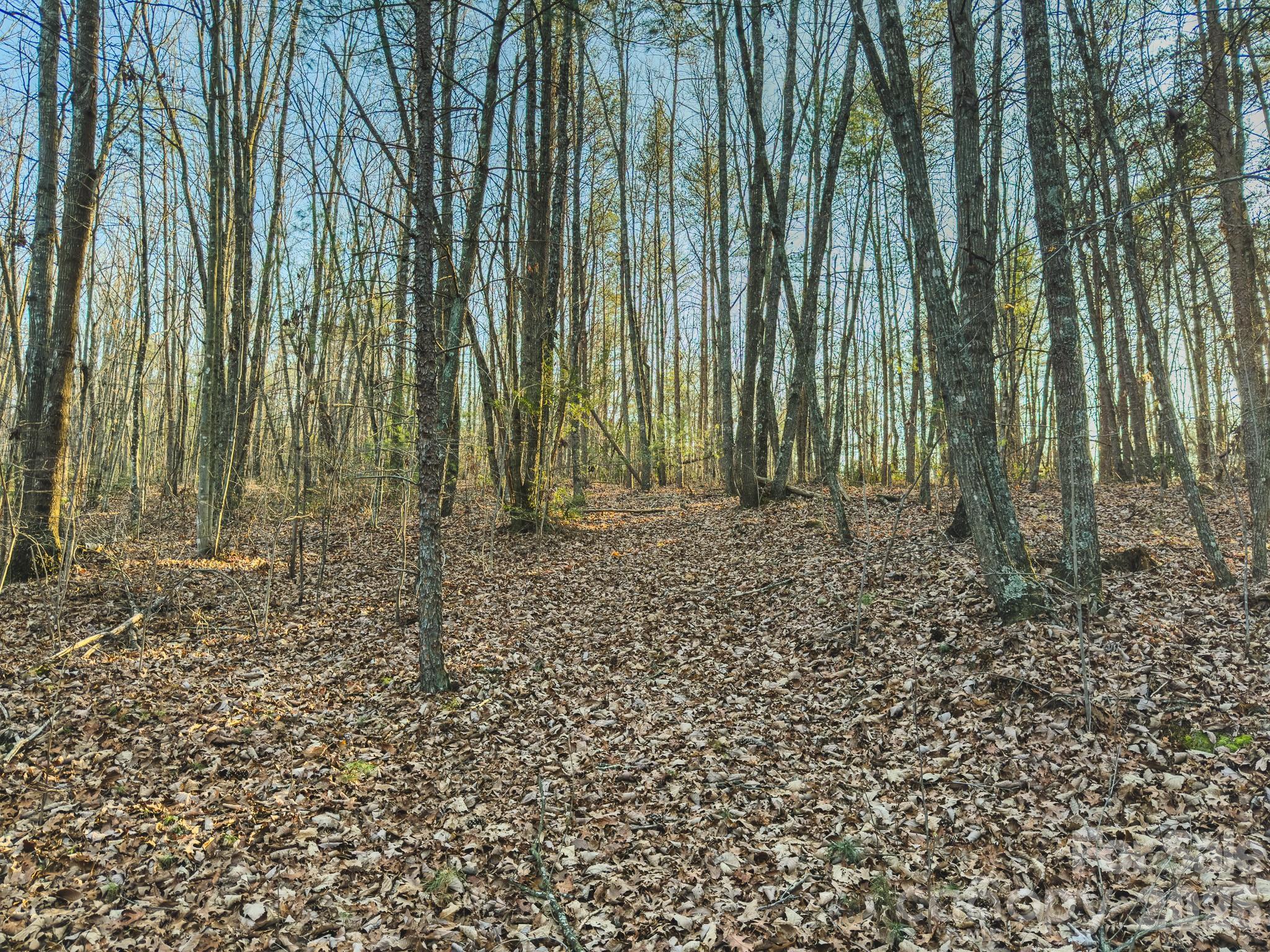 Tbd All Healing Springs Road Taylorsville NC 28681