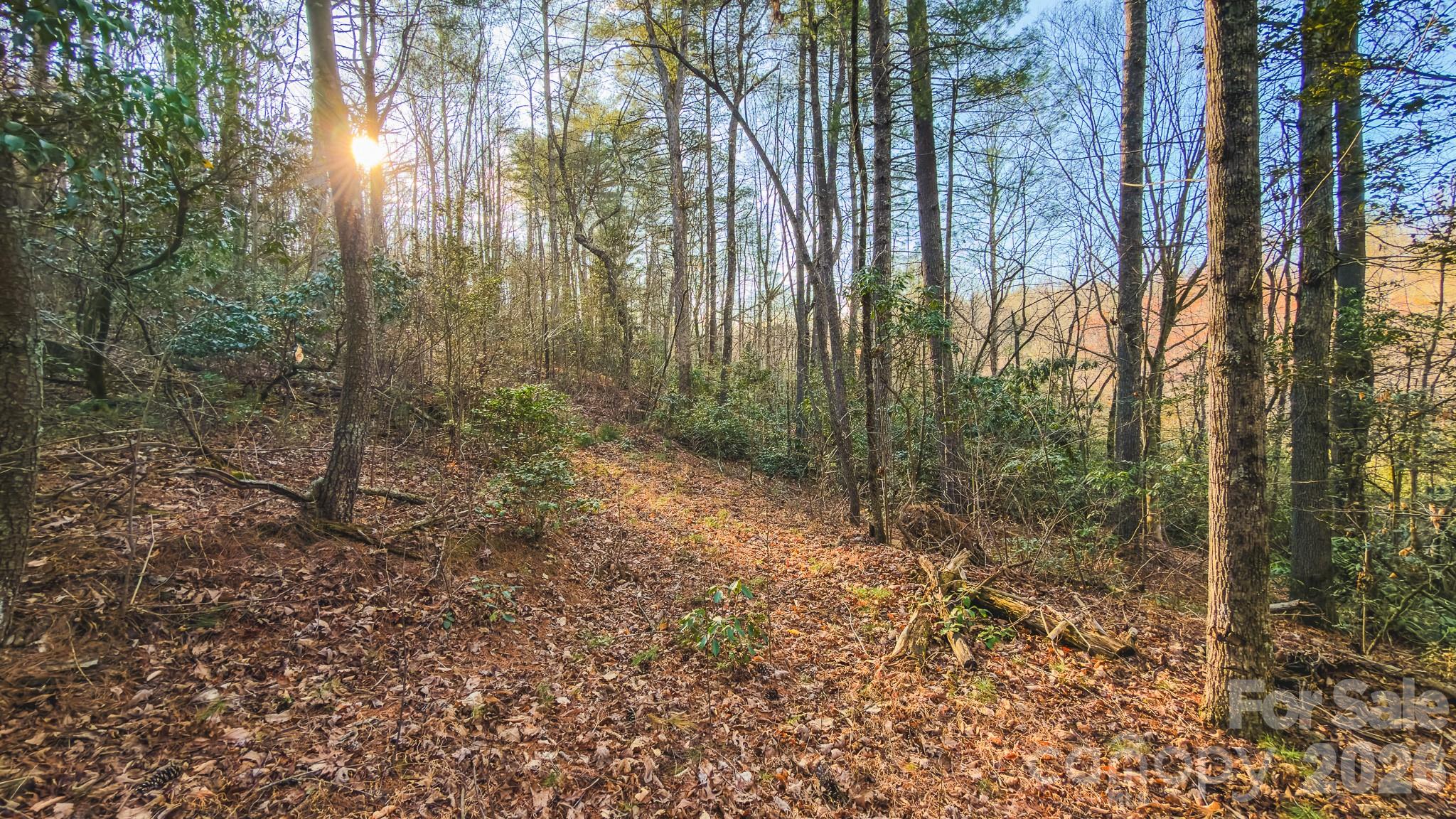 Tbd All Healing Springs Road Taylorsville NC 28681
