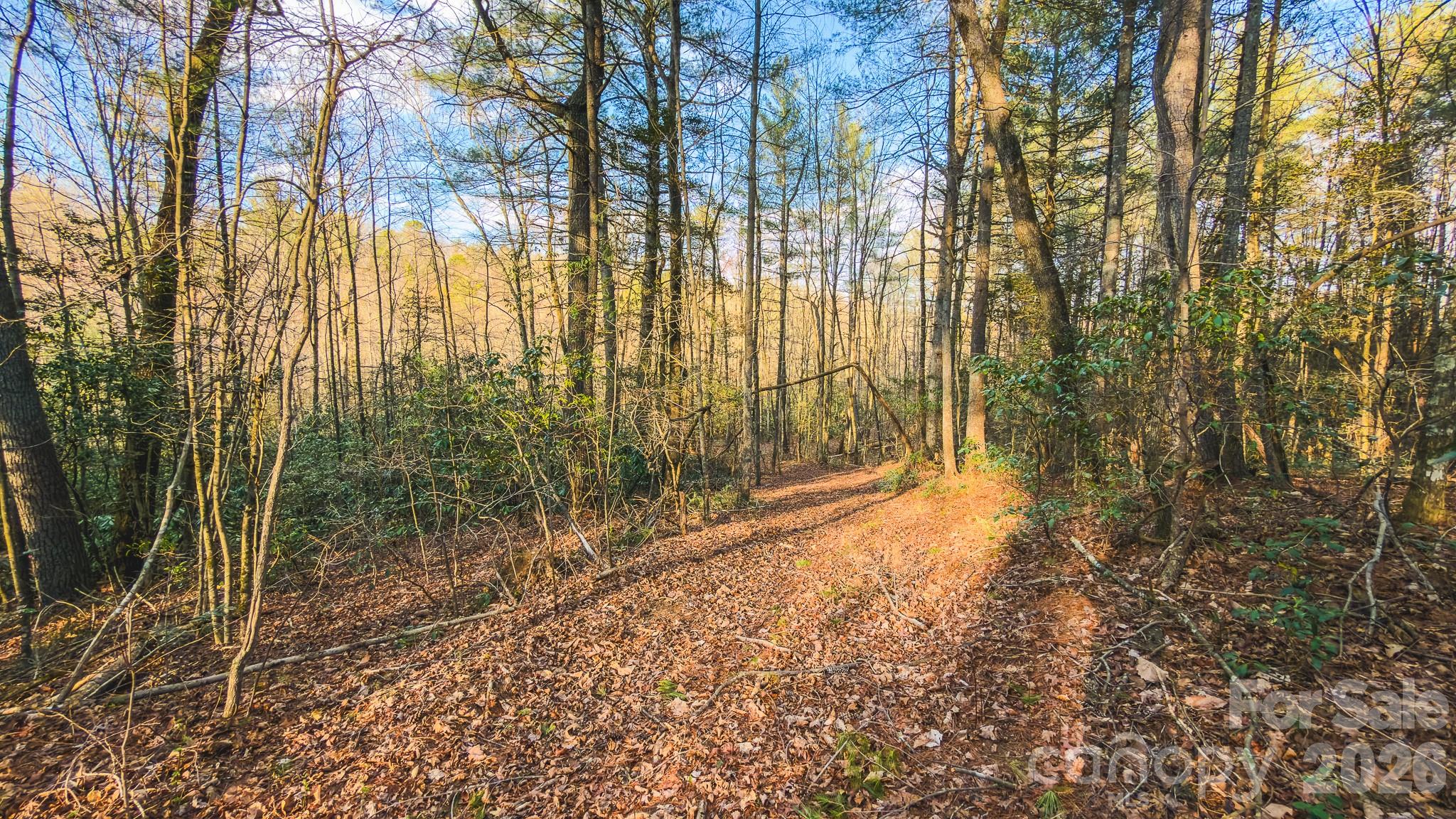 Tbd All Healing Springs Road Taylorsville NC 28681