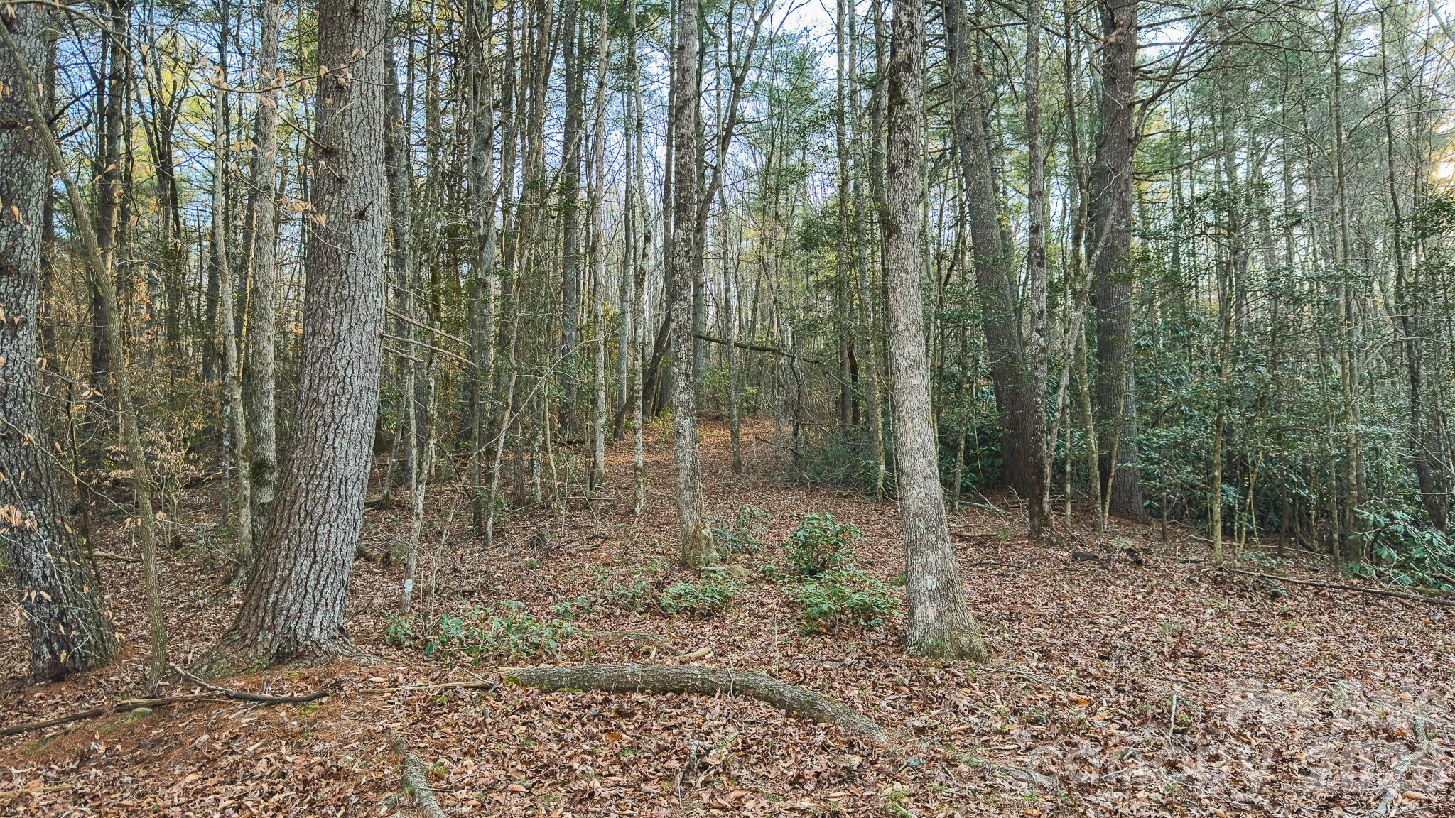 Tbd All Healing Springs Road Taylorsville NC 28681