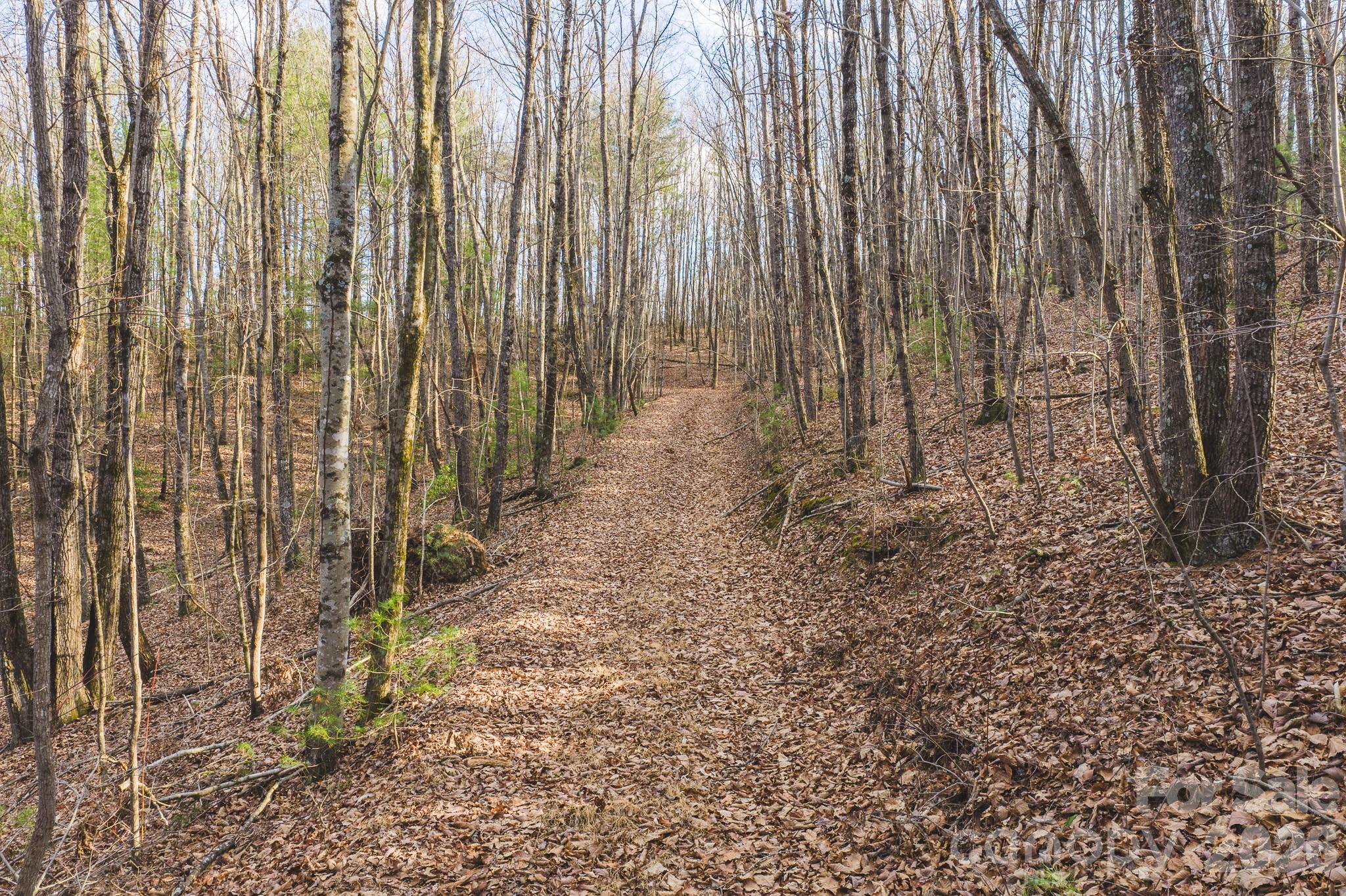 Tbd All Healing Springs Road Taylorsville NC 28681