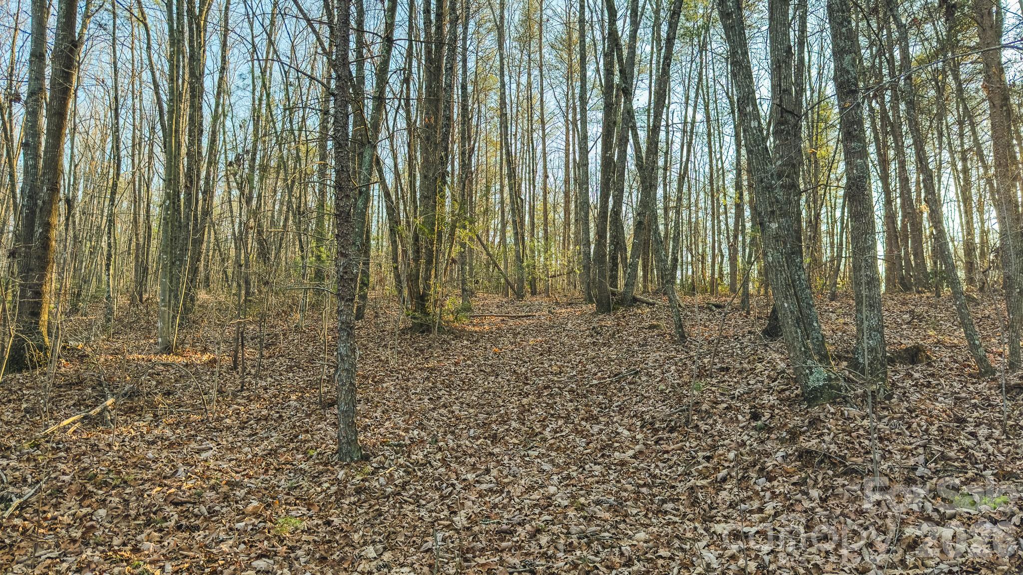 Tbd All Healing Springs Road Taylorsville NC 28681