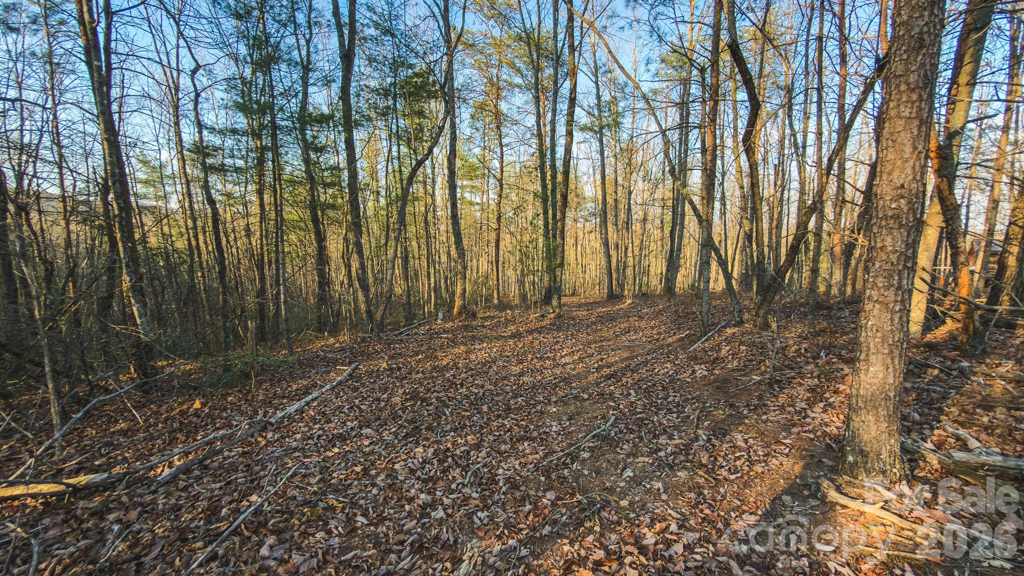 Tbd All Healing Springs Road Taylorsville NC 28681