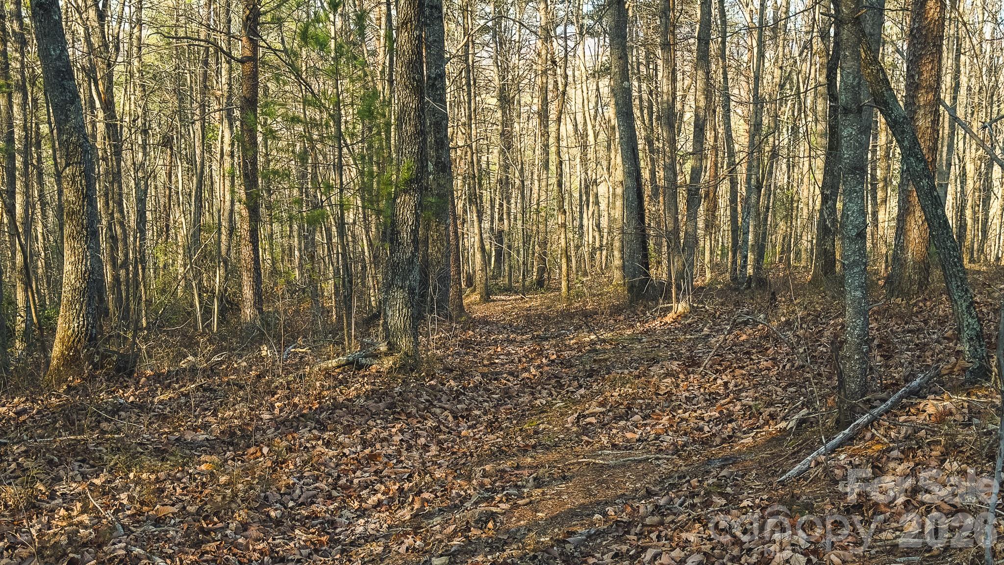 Tbd All Healing Springs Road Taylorsville NC 28681