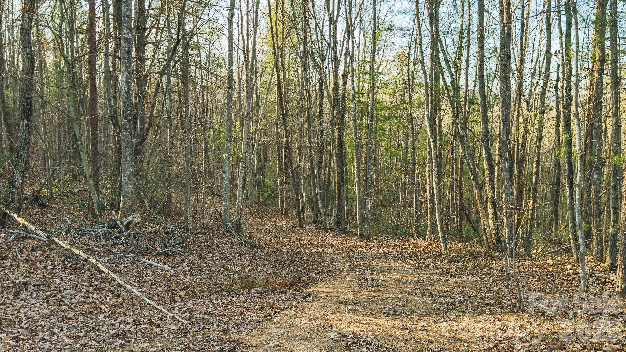 Tbd All Healing Springs Road Taylorsville NC 28681