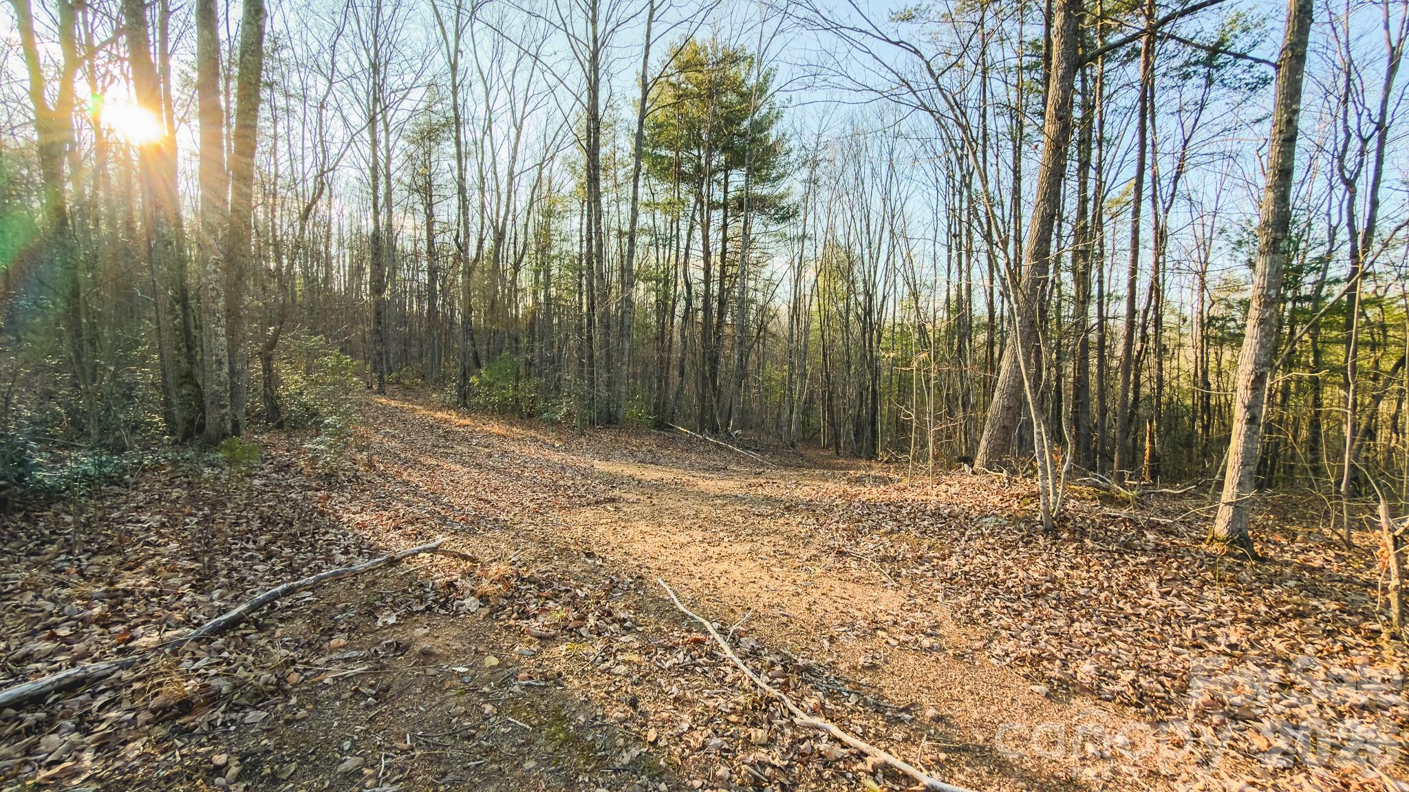 Tbd All Healing Springs Road Taylorsville NC 28681