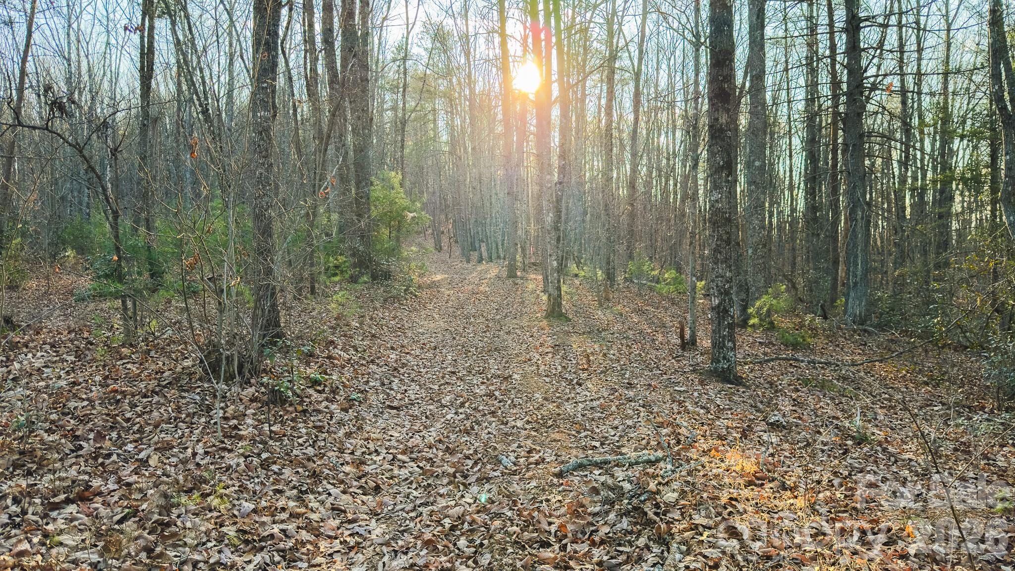 Tbd All Healing Springs Road Taylorsville NC 28681
